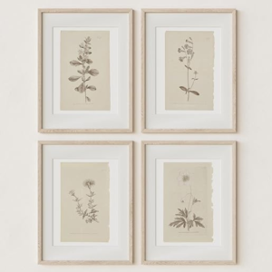 Wall Art Botanical Plant Prints | Set of 4 UNFRAMED Pictures | Print Size (11 x 14)