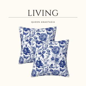 Blue and White Porcelain Floral Butterfly Pillow Covers