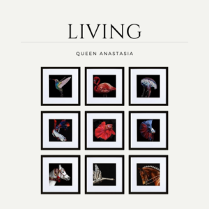 HEART ART 12x12 Black Picture Frame Set of 9