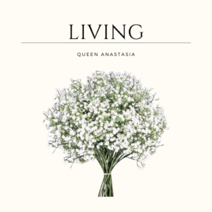 Babys Breath Artificial Flowers,12 Pcs