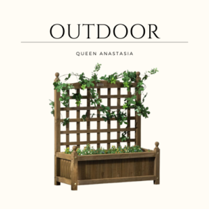 Raised Garden Bed with Trellis for Climbing Vines